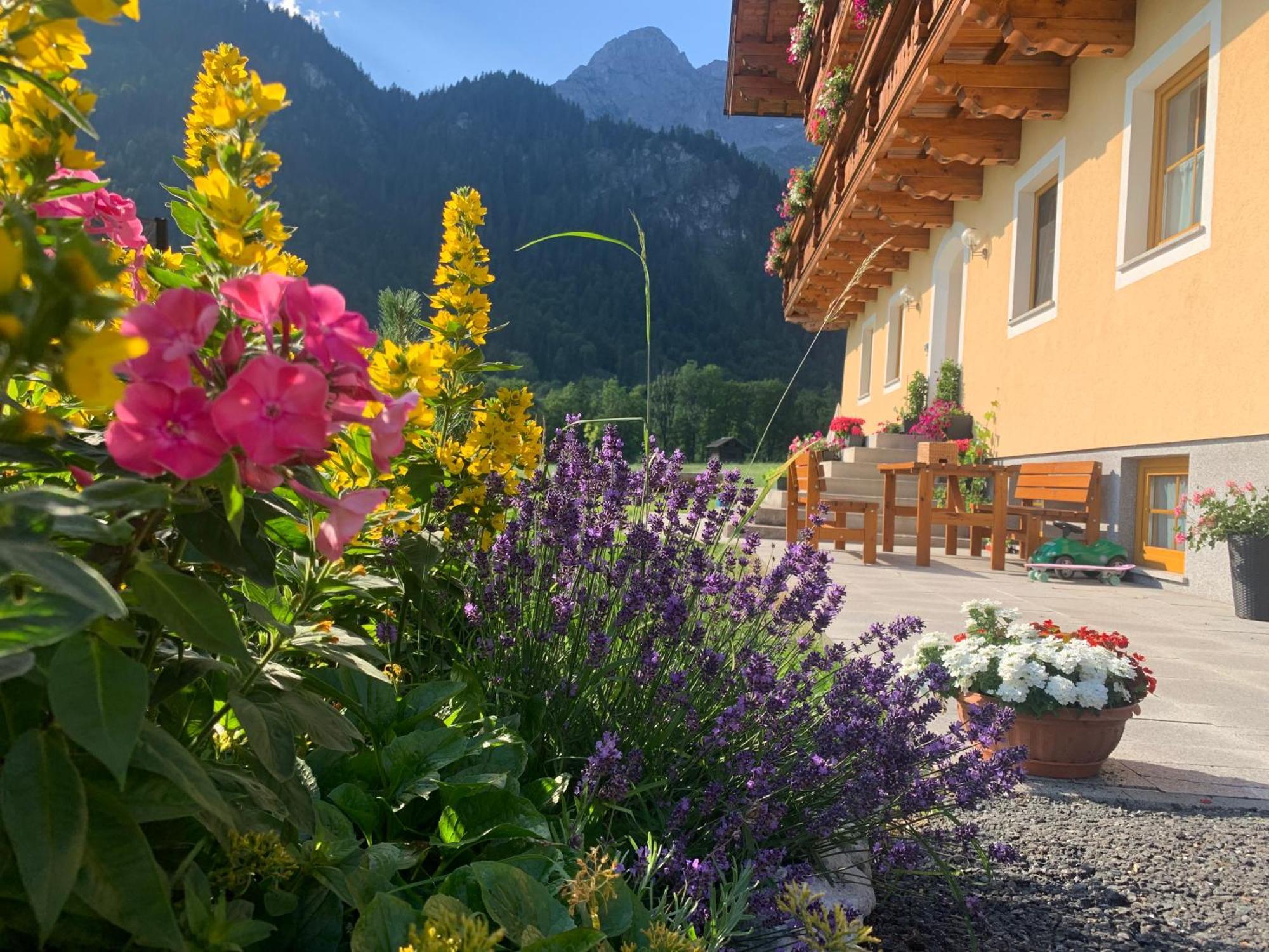 Alpen Appartements Oberlehengut Werfenweng Exterior foto