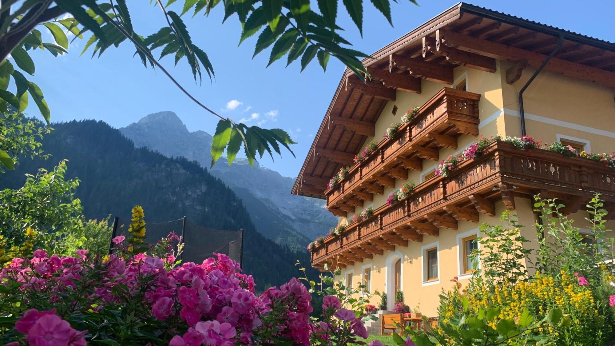 Alpen Appartements Oberlehengut Werfenweng Exterior foto