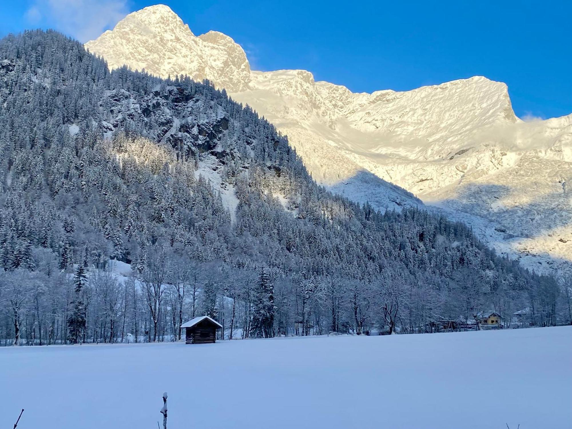 Alpen Appartements Oberlehengut Werfenweng Exterior foto